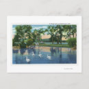 Recherche de lac des cygnes cartes postales Pittoresque