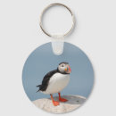 Recherche de macareux porteclés Oiseau