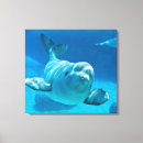 Recherche de baleine beluga posters Aquarium