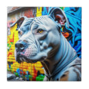 Recherche de pitbull carreaux Dog