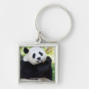Zoek naar giant sleutelhangers Wildlife foto's