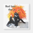 Recherche de mauvais de chat magnets Humour