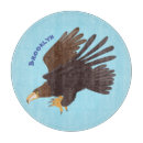 Recherche de rapace planches à découper Pour tous