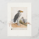 Recherche de observation des oiseaux vœux cartes Amateur d'oiseaux