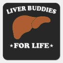 Recherche de orgue autocollants Transplanter