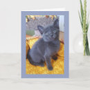 Recherche de chat bleu russe vœux cartes Mignon