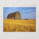 Recherche de blé cartes postales Rustique