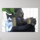 Recherche de bananiers posters Nature