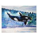 Zoek naar orka posters Wilde dieren