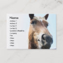 Recherche de mini cheval cartes visite Cowboy