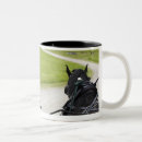 Recherche de chariots tasses Transport