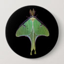 Recherche de la luna badges Pour tous