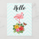 Recherche de flamant exotique cartes postales Été