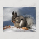 Recherche de de nouveaut vœux cartes Animaux