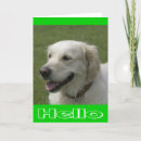 Recherche de extraction vœux cartes Chiot