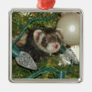 Recherche de furet ornements Arbre