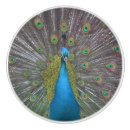 Recherche de animaux exotiques boutons et poignées de porte Oiseau