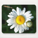 Recherche de marguerite blanche tapis souris Botanique