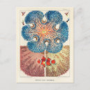 Recherche de fisher cartes postales Vintage