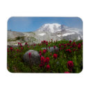 Recherche de ken magnets Alpin