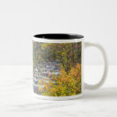 Recherche de ruisseau tasses Extérieur