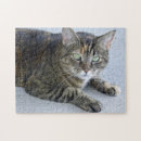 Recherche de de tigre puzzles Photographie
