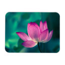 Recherche de fleur lotus magnets Pétale