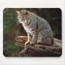 Zoek naar lynx muismatten Wild