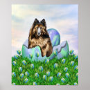 Recherche de chien de berger belge posters Tervuren