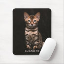 Recherche de chat domestique tapis souris Chaton