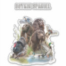 Zoek naar waterhond stickers Jachthond