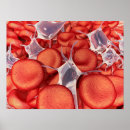 Zoek naar cytoplasma posters Digitaal geproduceerd afbeelding