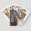 Recherche de plume jeux de cartes Nature