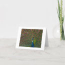 Recherche de faune toutes vœux cartes Photographie
