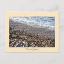 Recherche de rhode island cartes postales Nature