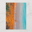 Zoek naar zand duinen briefkaarten Oceaan