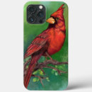 Zoek naar vogel schilderijen iphone hoesjes Groen