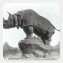 Recherche de rhinocéros blanc autocollants Animal