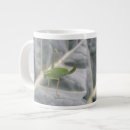 Recherche de crickets tasses Vert
