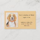 Recherche de beagles cartes visite Dog