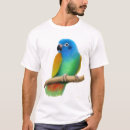 Recherche de pionus Perroquet