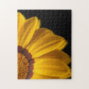 Recherche de jaune noir puzzles Couleurs vives