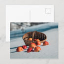Zoek naar appelen briefkaarten Vrucht