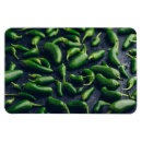 Recherche de poivron magnets Jalapeno