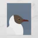 Zoek naar zeemeeuwen briefkaarten Ocean