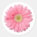 Recherche de marais autocollants Fleur