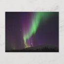 Recherche de suede cartes postales Vert