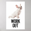 Recherche de chiot bouledogue français posters Mignon