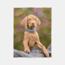 Zoek naar vizsla dekens Puppy