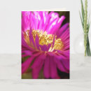 Zoek naar meeldraad kaarten Flora